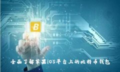 全面了解蘋果iOS平臺(tái)上的