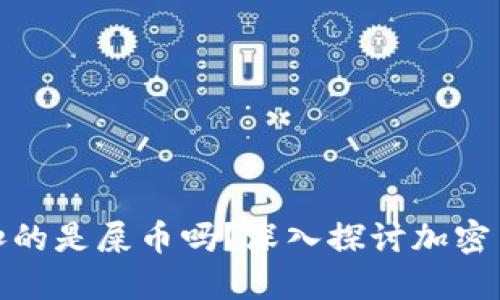 屎幣提到錢包扣的是屎幣嗎？深入探討加密貨幣的提取機(jī)制