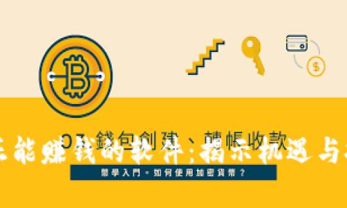 真正能賺錢的軟件：揭示機(jī)遇與挑戰(zhàn)