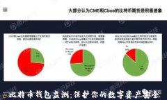 比特幣錢包監(jiān)測：保護你