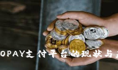 : TOPAY支付平臺的現(xiàn)狀與未來