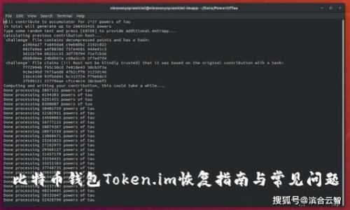 比特幣錢包Token.im恢復(fù)指南與常見問題