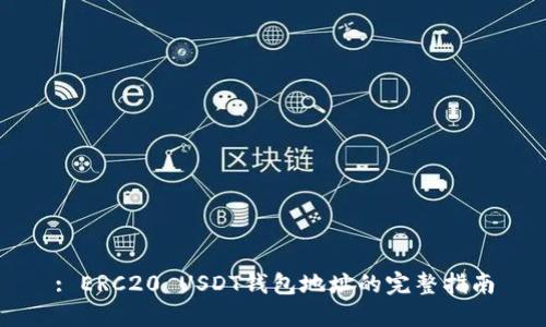 : ERC20 USDT錢包地址的完整指南
