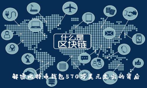  解密比特幣錢包570萬美元支出的背后