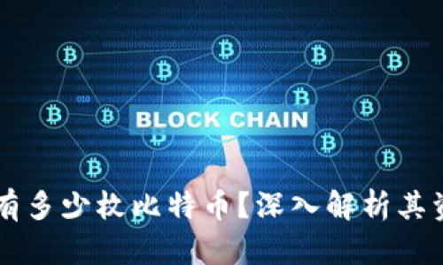 中本聰究竟持有多少枚比特幣,？深入解析其資產(chǎn)背后的謎團(tuán)