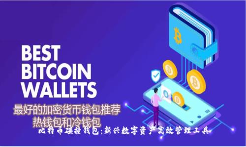 比特幣碰撞錢包：新興數(shù)字資產(chǎn)高效管理工具