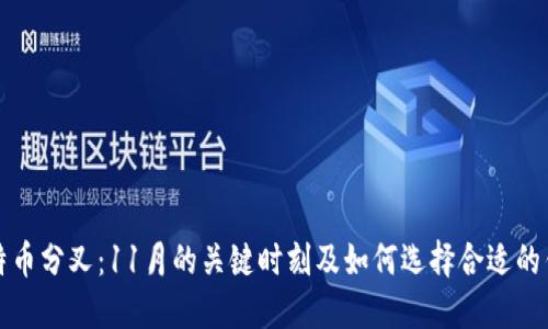 比特幣分叉：11月的關(guān)鍵時(shí)刻及如何選擇合適的錢(qián)包
