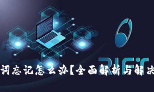 助記詞忘記怎么辦,？全面解析與解決方案