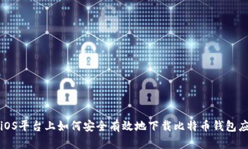 在iOS平臺(tái)上如何安全有效地下載比特幣錢包應(yīng)用