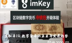 虛擬幣IQ：數(shù)字貨幣的未來