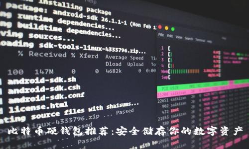 比特幣硬錢包推薦：安全儲存你的數(shù)字資產(chǎn)