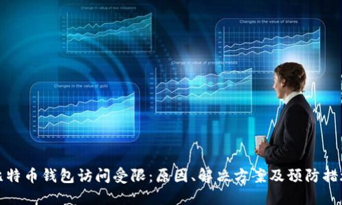 比特幣錢(qián)包訪問(wèn)受限：原因、解決方案及預(yù)防措施