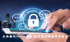 全面解析Burst錢(qián)包：數(shù)字貨