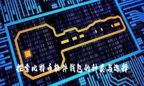 探索比特幣軟件錢包的種類與選擇