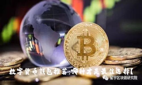 數(shù)字貨幣錢(qián)包推薦：哪種才是最佳選擇？