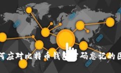 如何應(yīng)對(duì)比特幣錢(qián)包密碼