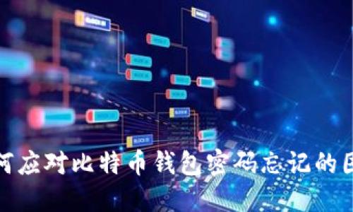 如何應對比特幣錢包密碼忘記的困境