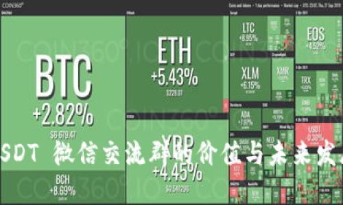 USDT 微信交流群的價值與未來發(fā)展
