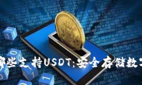 區(qū)塊鏈硬件錢包哪些支持USDT：安全存儲(chǔ)數(shù)字資產(chǎn)的最佳選擇