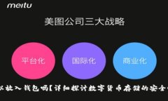 USDT可以放入錢(qián)包嗎,？詳細(xì)