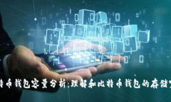 比特幣錢包容量分析：理