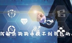  如何解決狗狗幣提不到錢