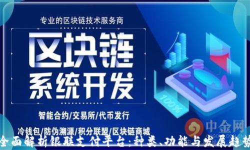 
全面解析銀聯(lián)支付平臺(tái)：種類,、功能與發(fā)展趨勢(shì)