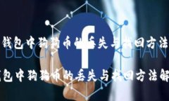 : TP錢(qián)包中狗狗幣的丟失與
