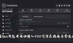 : 如何在Tex錢包中成功轉(zhuǎn)入