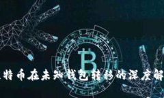 比特幣在未知錢(qián)包轉(zhuǎn)移的