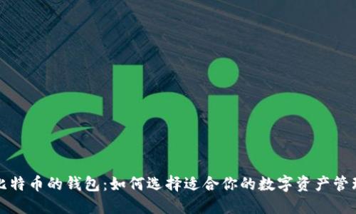 支持比特幣的錢包：如何選擇適合你的數(shù)字資產(chǎn)管理工具