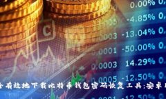 如何安全有效地下載比特