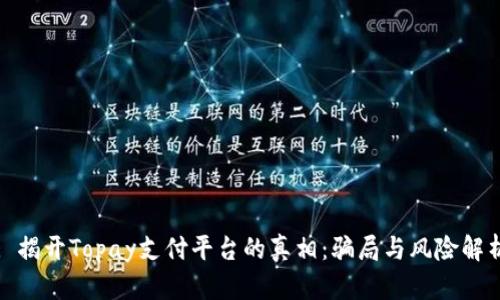 : 揭開Topay支付平臺(tái)的真相：騙局與風(fēng)險(xiǎn)解析