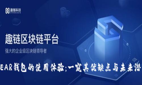 NEAR錢包的使用體驗：一窺其優(yōu)缺點與未來潛力