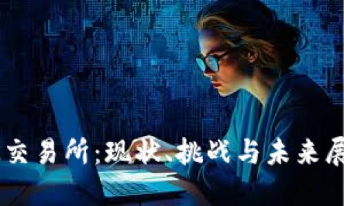OK交易所：現(xiàn)狀,、挑戰(zhàn)與未來展望