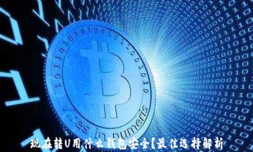 
現(xiàn)在轉(zhuǎn)U用什么錢(qián)包安全？最佳選擇解析