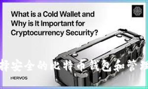 如何選擇安全的比特幣錢包和管理公網(wǎng)IP