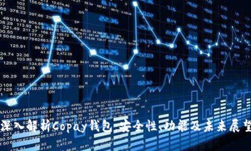 深入解析Copay錢包：安全性,、功能及未來(lái)展望
