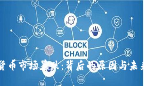 加密貨幣市場(chǎng)暴跌：背后的原因與未來(lái)展望