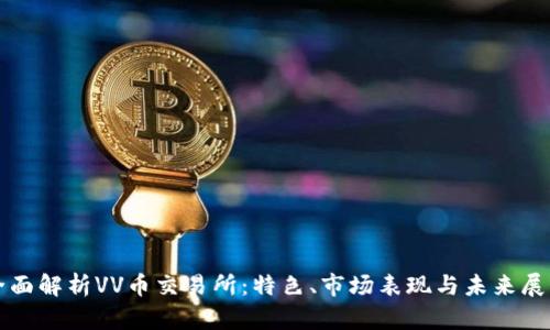 全面解析VV幣交易所：特色,、市場表現(xiàn)與未來展望