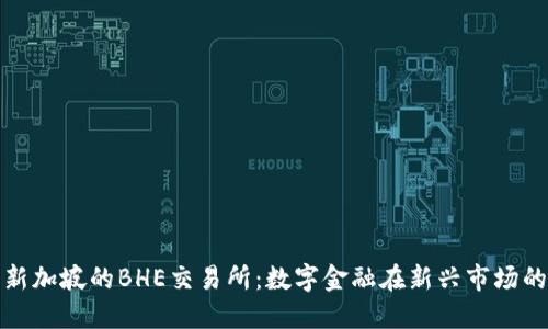 探索新加坡的BHE交易所：數(shù)字金融在新興市場的未來