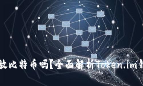 Token.im錢包能放比特幣嗎？全面解析Token.im錢包的功能與特點