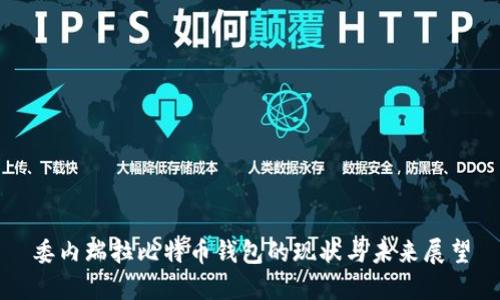 委內瑞拉比特幣錢包的現狀與未來展望