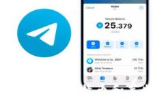 電子錢(qián)包的崛起：支持比