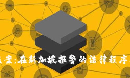 比特派被盜案：在新加坡報警的法律程序與應(yīng)對措施