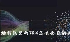 : 波場錢包里的TRX怎么會(huì)自